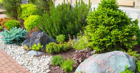 Как сделать красивый палисадник на даче: шесть самых стильных идей для любого сада!